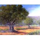 Quadre Oliveres - Pintura Paissatge  Original