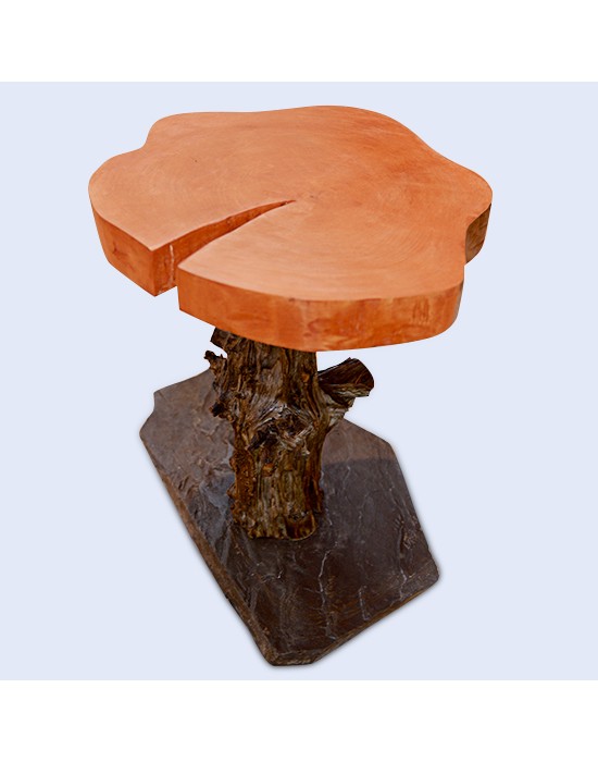 Mesa de centro tronco con forma de seta