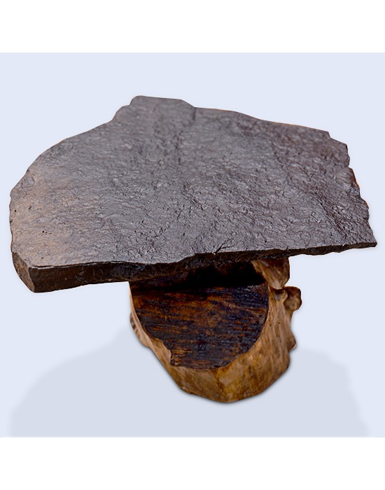 Mesa centro piedra y tronco